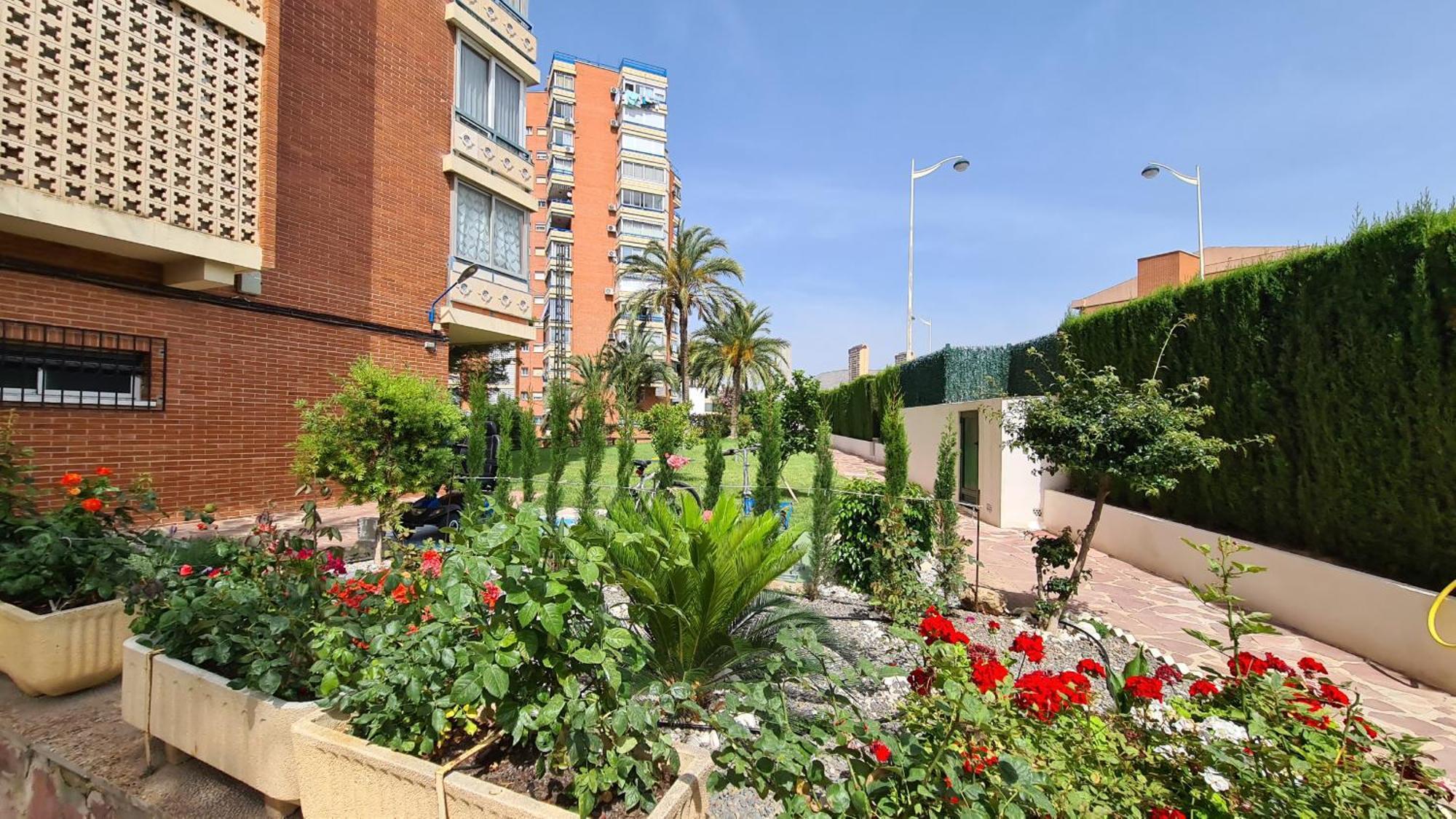 Apartamento San Sebastian If Μπένιντορμ Εξωτερικό φωτογραφία